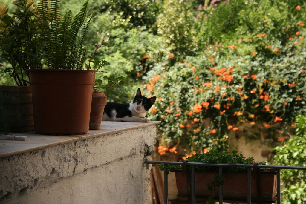B&B Ingiropernapoli Exteriér fotografie